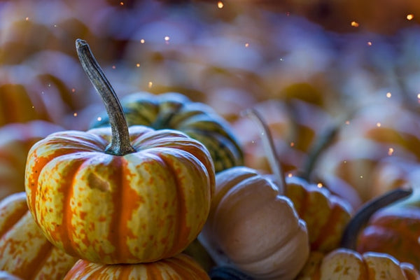 Harvest to Hearth: Celebrating Seasonal Ingredients Through Scent