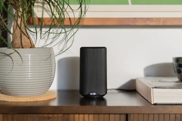 This “Hidden in Plain Sight” Find Keeps My Home Smelling Fresh and Gets Me So Many Compliments