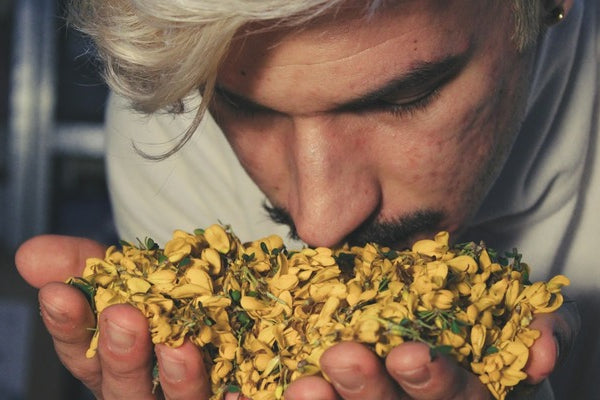 The Science Behind Scent: Why Do We Like Certain Smells?