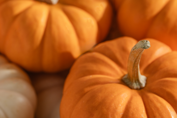 Simmered & Satisfying: Warm Gourmand Fragrances to Usher in Fall