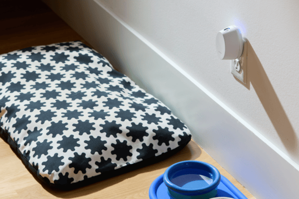 How an Odor-Free Environment Enhances Well-Being